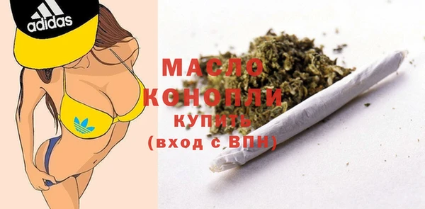 индика Приозерск