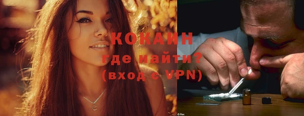 индика Приозерск