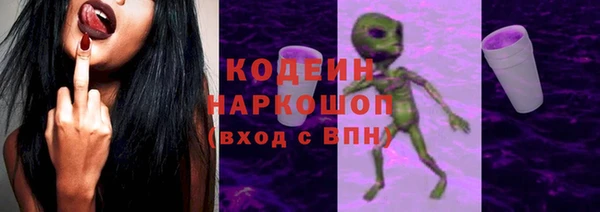 сатива Заводоуковск