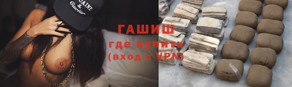 индика Приозерск