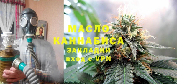 индика Приозерск
