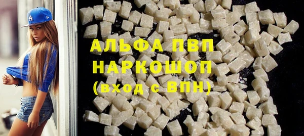 сатива Заводоуковск