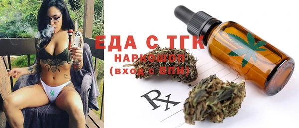 индика Приозерск